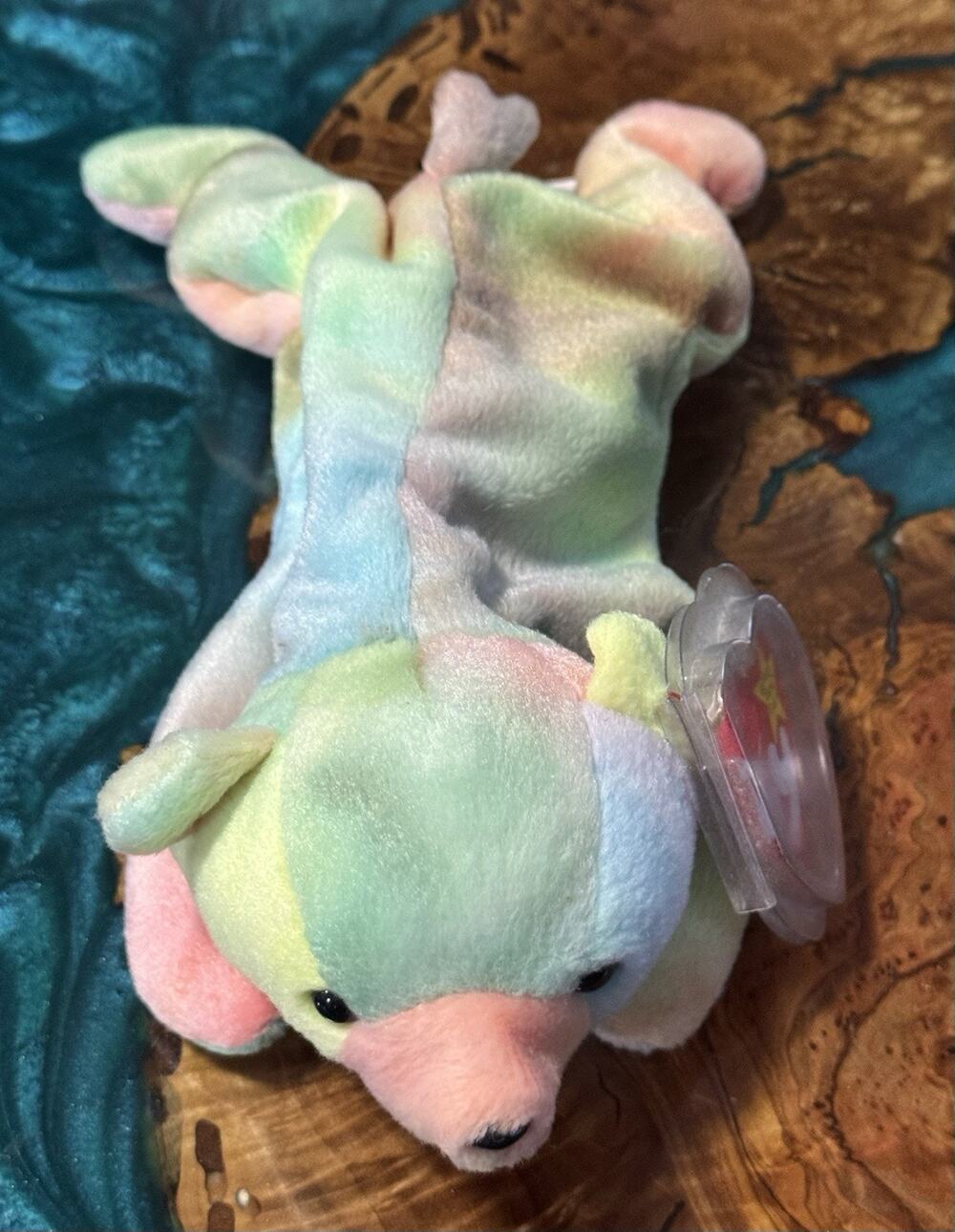TY BEANIE BABY SAMMY DOB JUNE 23, 1998. EXCELLENT CONDITION